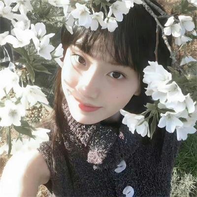 超然芯动